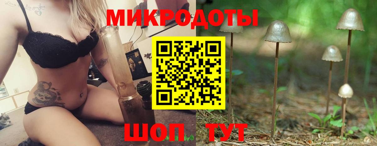 Псилоцибиновые грибы Cubensis Октябрьский